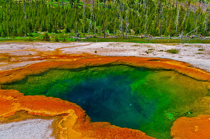  Deep green blue geyser pool in Yellowstone national park